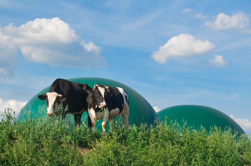Biogas dome, Representative image