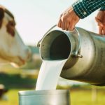 Navigating the Environmental Impact of Plant-Based vs. Dairy Foods