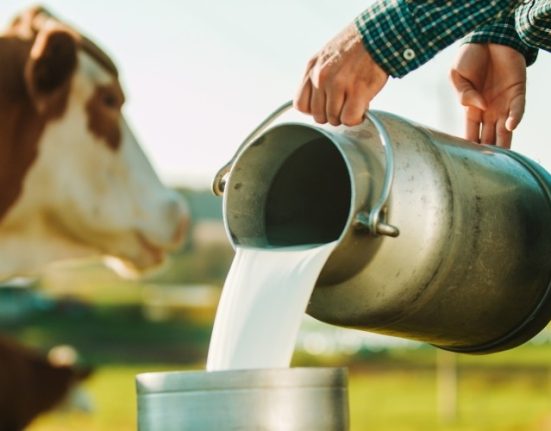 Plant-Based vs. Dairy Foods