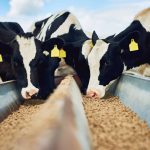 Buyer’s Brief: Dairy Industry Facing Both Climate And Cost Challenges