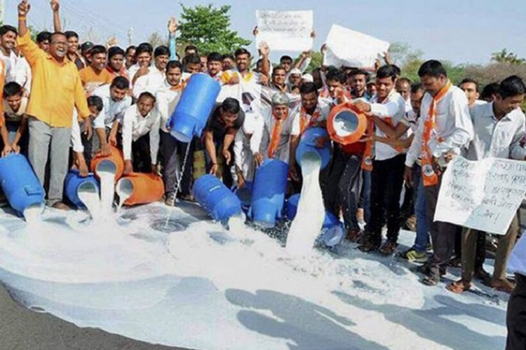 Skimmed Milk Powder