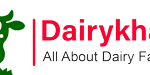 Revolutionizing Indian Dairy: The Dairykhata Disruption – DairyDimension