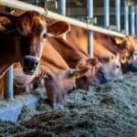 Gujarat MoU Empowers Rural Women Through Dairy Entrepreneurship