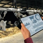 Digital Transformation Reshaping India’s Dairy Sector: From Cooperative Legacy to Data-Driven Growth