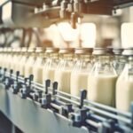 EU Dairy Exports Rise 11.88% in August, but Production Surplus Persists