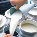 Karnataka Detects Over 3,000 Adulterated Milk Samples in Dairy Supply Chain