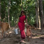 The ₹5,000 Crore Dairy Revolution: How Women are Redefining Uttar Pradesh’s Dairy Landscape