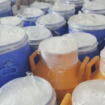 Surat Food Safety Drive Flags Substandard Milk Samples Amid Crackdown on Adulteration