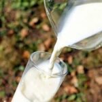 Suspected Milk Adulteration in East Godavari Claims 13 Lives, Vendor Detained