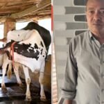Tribal Technician Sets New Benchmark in Cattle AI Success in Gujarat