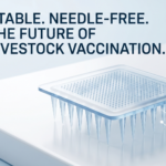 Breakthrough Microneedle Patch Offers Cold-Chain-Free Shield Against Foot and Mouth Disease