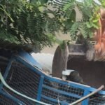 4 illegal Saras Dairy booths removed in footpath drive | Jaipur News – DairyDimension