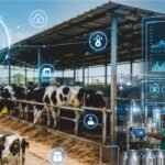 Using Dairy Farm Data to Improve Efficiency and Profitability