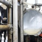 European Dairy Giants Dominate Rabobank’s Global Top 20