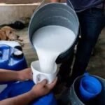 Maharashtra Considers MCOCA Action Against Organised Milk and Paneer Adulteration