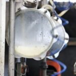 Global Dairy Trade index up slightly – DairyDimension