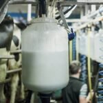 Irish Dairy Co-ops Raise July Milk Prices Amid Supply Pressure