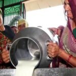 Bhopal Milk Procurement Rises 38% as Dairy Infrastructure Expands