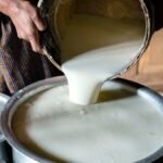 Indore Food Safety Drive: 1,816 Kg of Suspected Dairy Analogues Seized, Manufacturing Unit Shut
