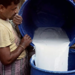 South India’s Next Dairy Growth Story Is Driven by Protein