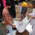Himachal Pradesh Bans Sale of Analogue Paneer as Genuine Dairy