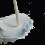 Global Dairy Market Shows Diverging Trends Across Key Regions