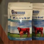 Gujarat Startup Develops Early Pregnancy Detection Kit for Livestock