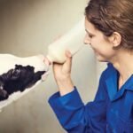 Lallemand Launches SMART GROWS Programme for Calf Health and Nutrition