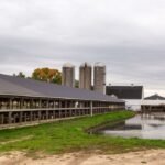 US Dairy Groups Challenge EU Sustainability Regulation Overreach