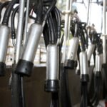 Fonterra Milk Price Cut Expected to Reverse as Dairy Outlook Strengthens