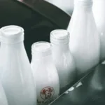Plant-Based Milk Sales Decline as Dairy Milk Regains Consumer Interest