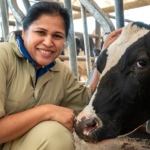 Penn Vet Secures $1.5 Million Grant for Dairy Calf Facilities