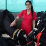 Himachal Pradesh Dairy Entrepreneur Builds Business with 14 Holstein Friesian Cows