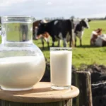 European Dairy Commodity Prices Show Gradual Recovery as Milk Supply Tightens